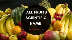 All Fruits Scientific Name