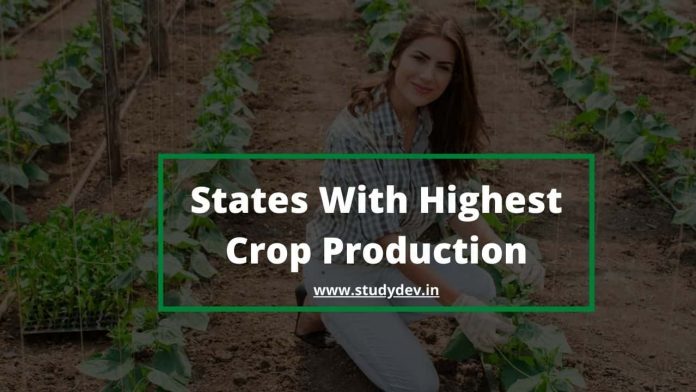 States With Highest Crop Production