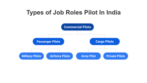 Types of Job Roles Pilot In India