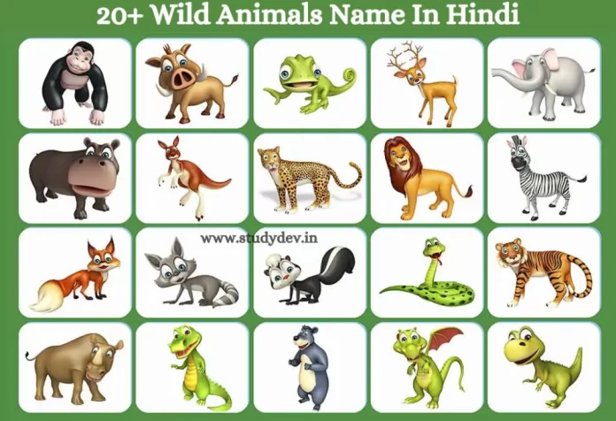 20-Wild-Animals-Name-In-Hindi