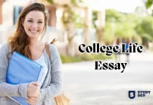 College-Life-Essay-