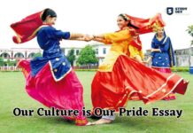 our-culture-is-our-pride-essay-1500-word