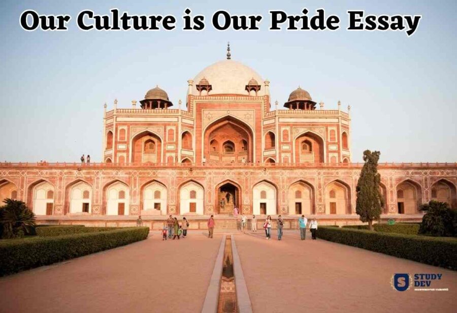 our-culture-is-our-pride-essay-500-word