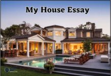 my-house-essay-10-lines